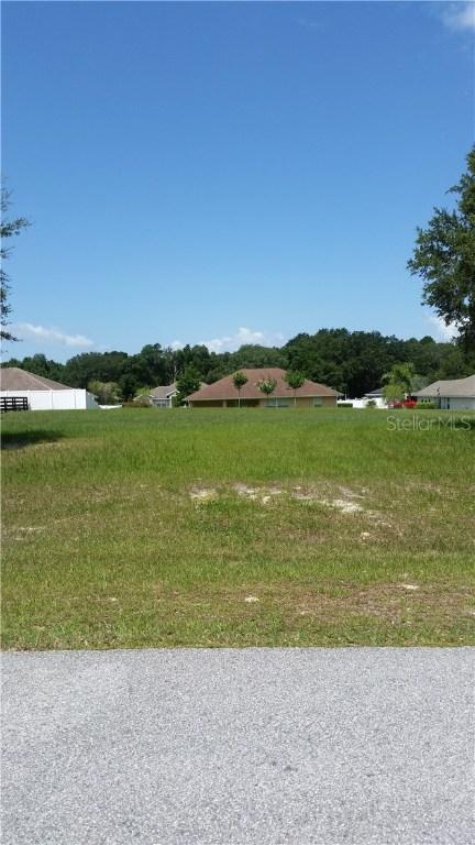 Cr 125, Wildwood, FL 34785