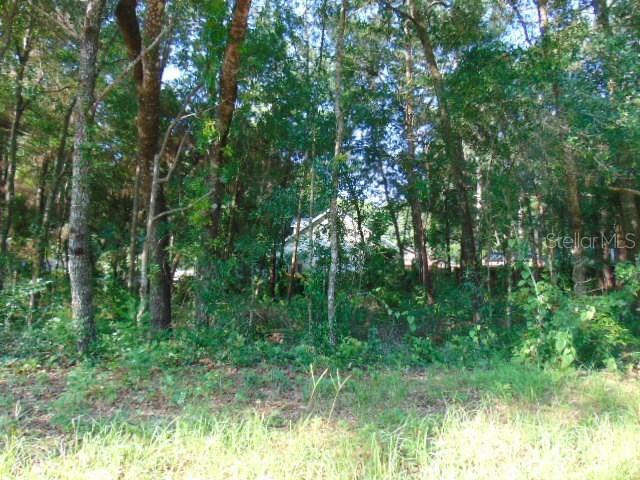 Oakmont Ave., Sorrento, FL 32776