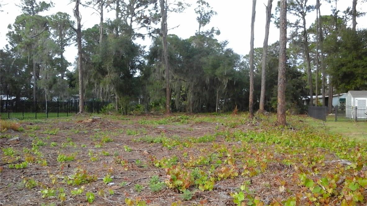 12029 Eagle Point Ct., Leesburg, FL 34788