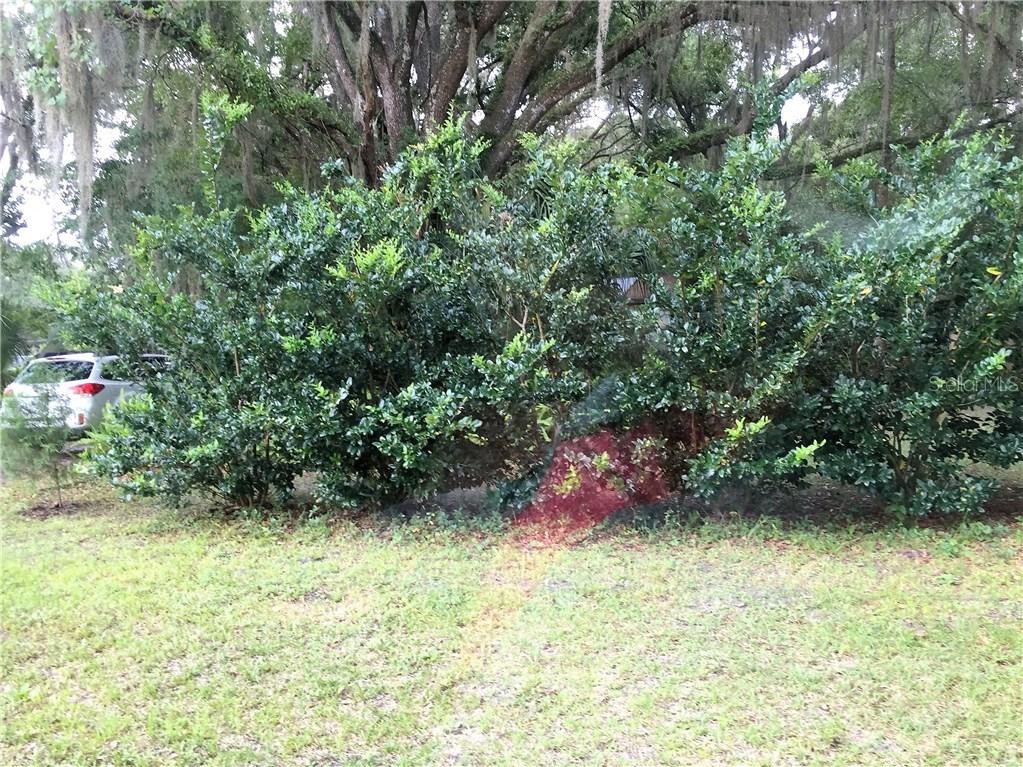 3768 County Road 513, Wildwood, FL 34785