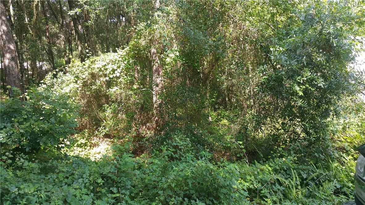 Sunningdale St., Sorrento, FL 32776