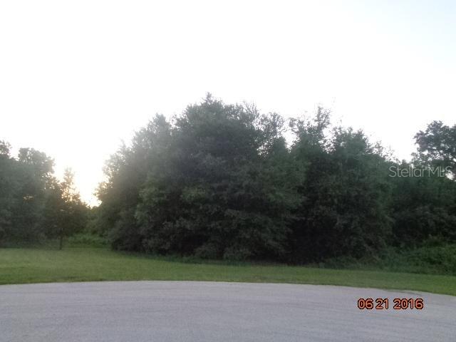 18401 Great Blue Heron Dr., Groveland, FL 34736
