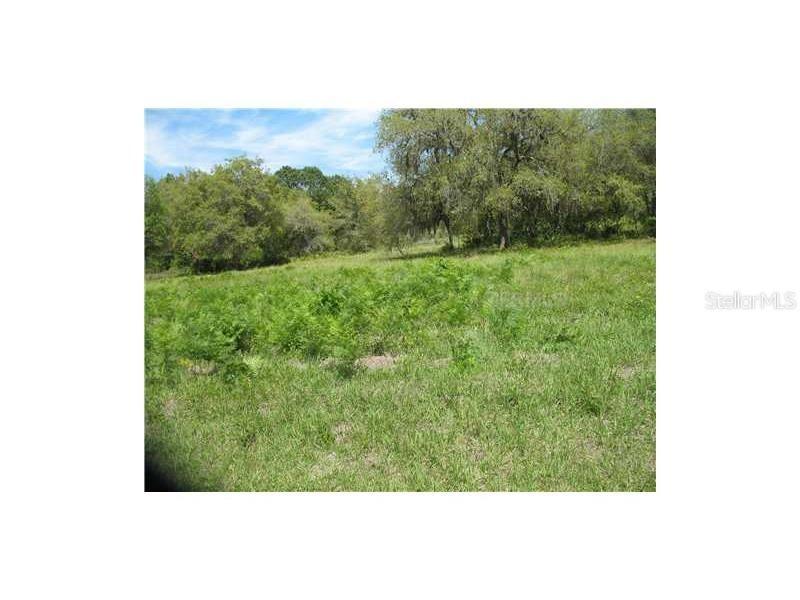 Cynthia Lane, Clermont, FL 34711