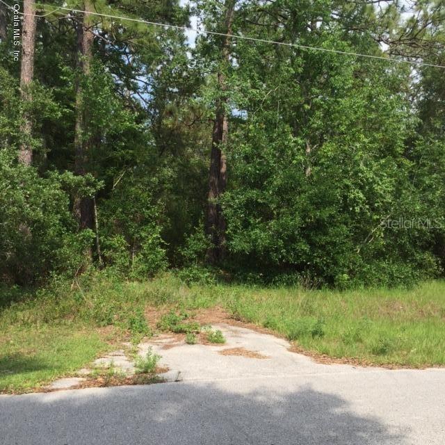 TBA SE 91st Ct, Summerfield, FL 34491