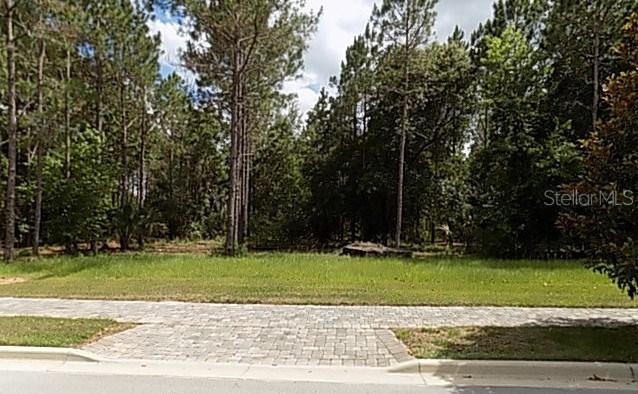 16913 Crete Way, Montverde, FL 34756