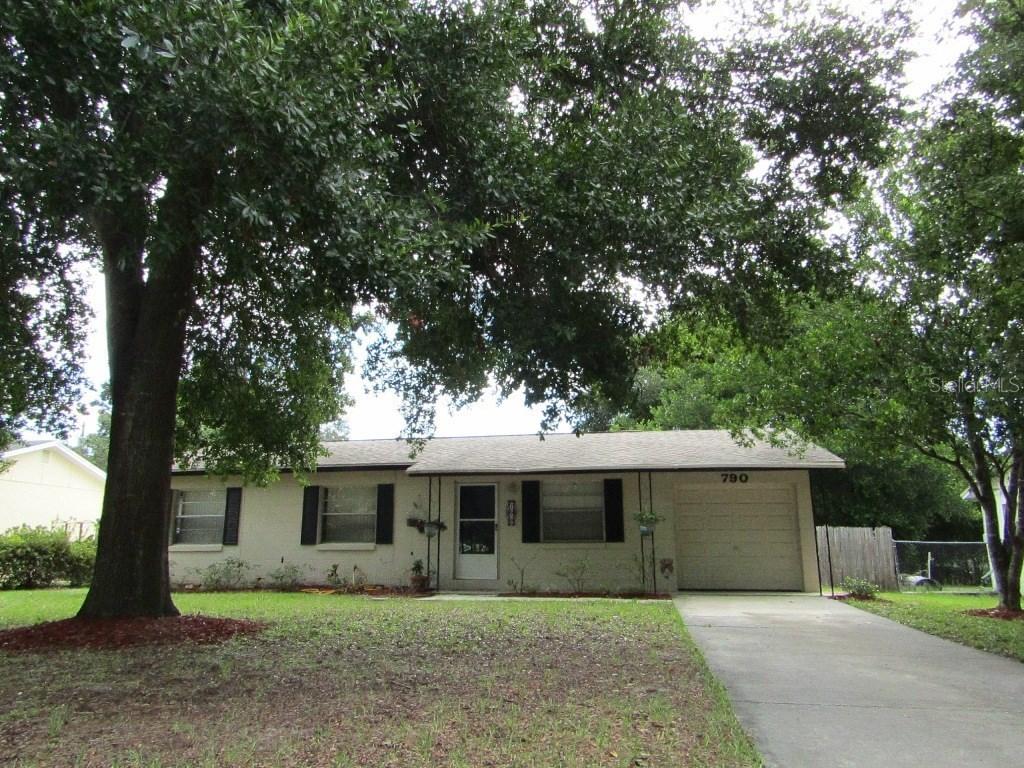 790 Marion Dr., Mount Dora, FL 32757