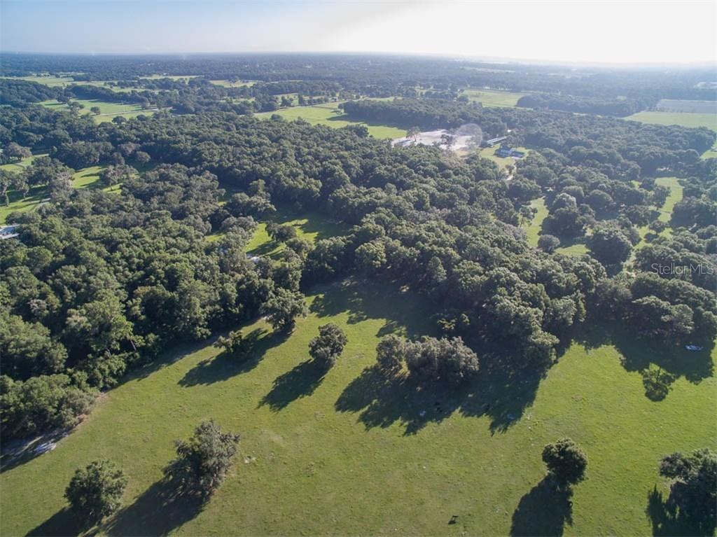 3901 17010 Se 45th Court St., Summerfield, FL 34491