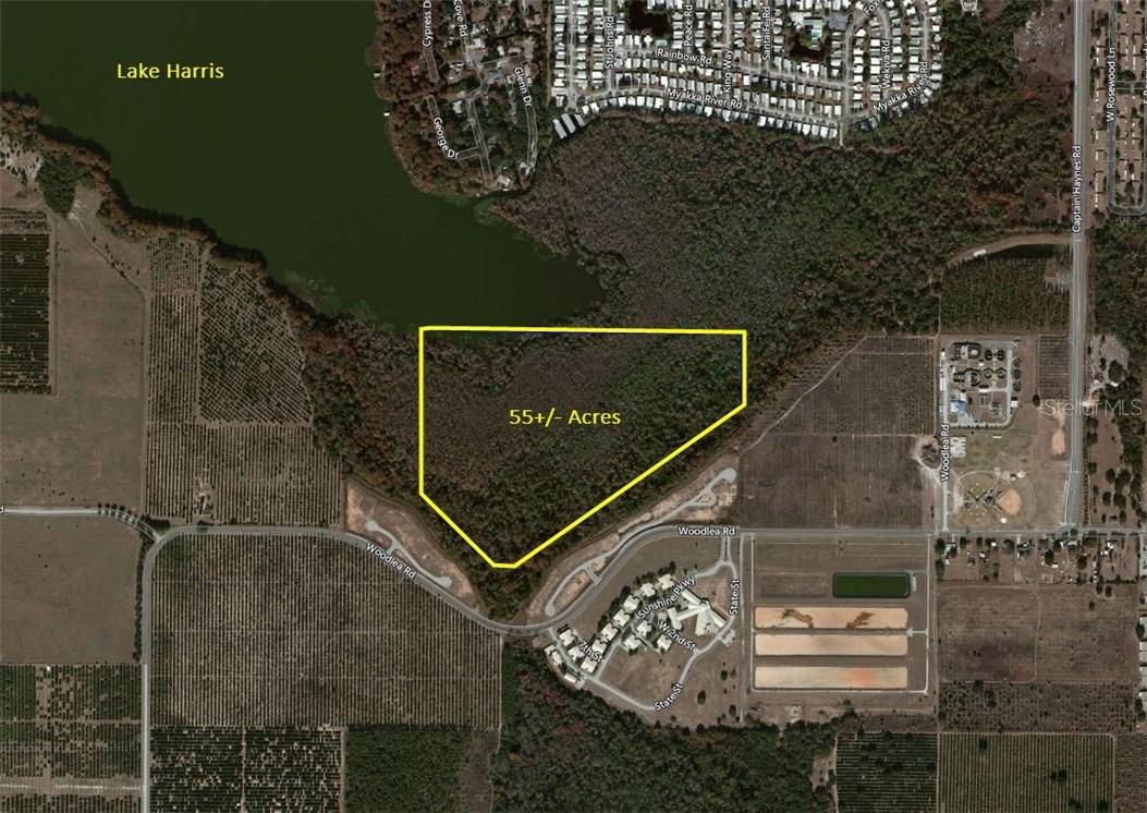 Woodlea Rd., Tavares, FL 32778