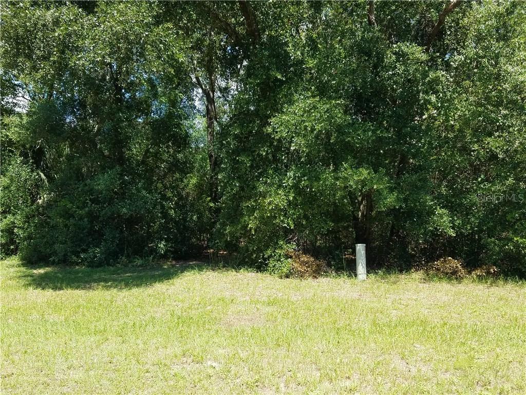2312 Sunrise Blvd., Mount Dora, FL 32757