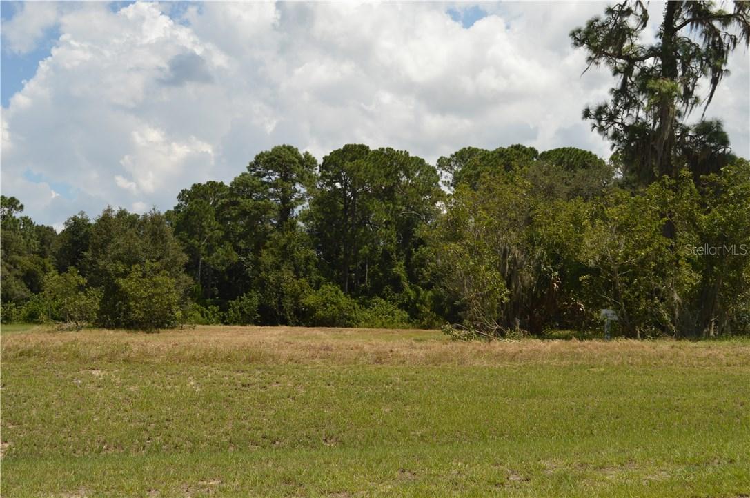 Lot 64 Grand Oak Ln., Tavares, FL 32778