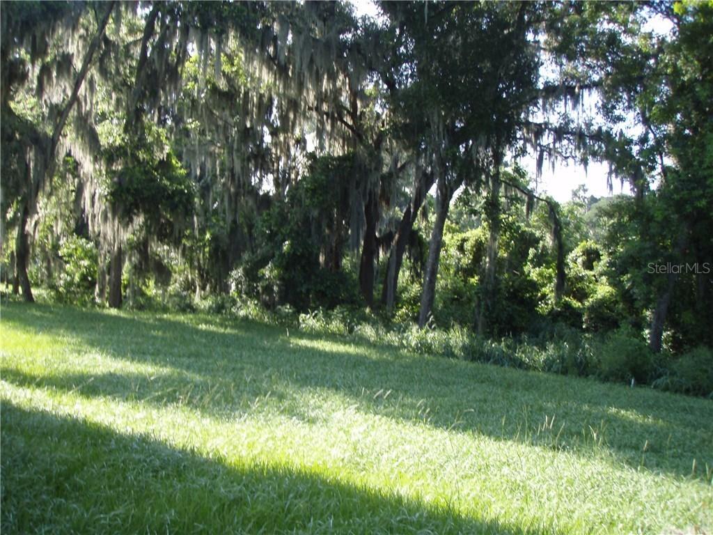 Kirkland Rd., Montverde, FL 34756