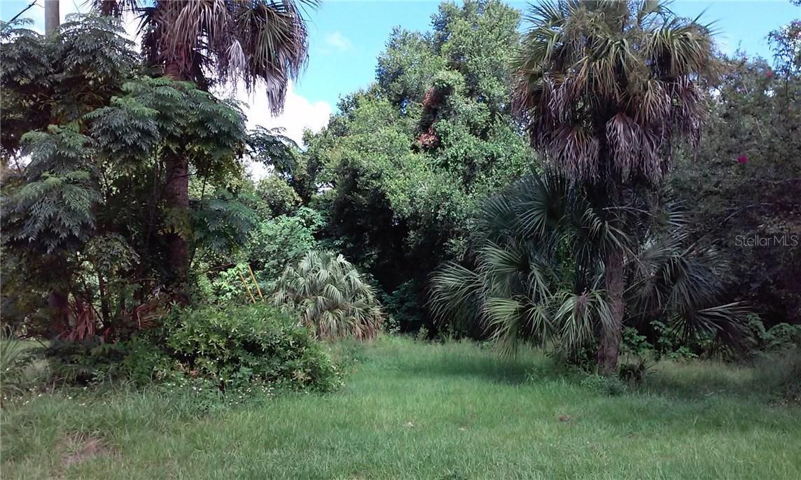 W Montrose St, Clermont, FL 34711