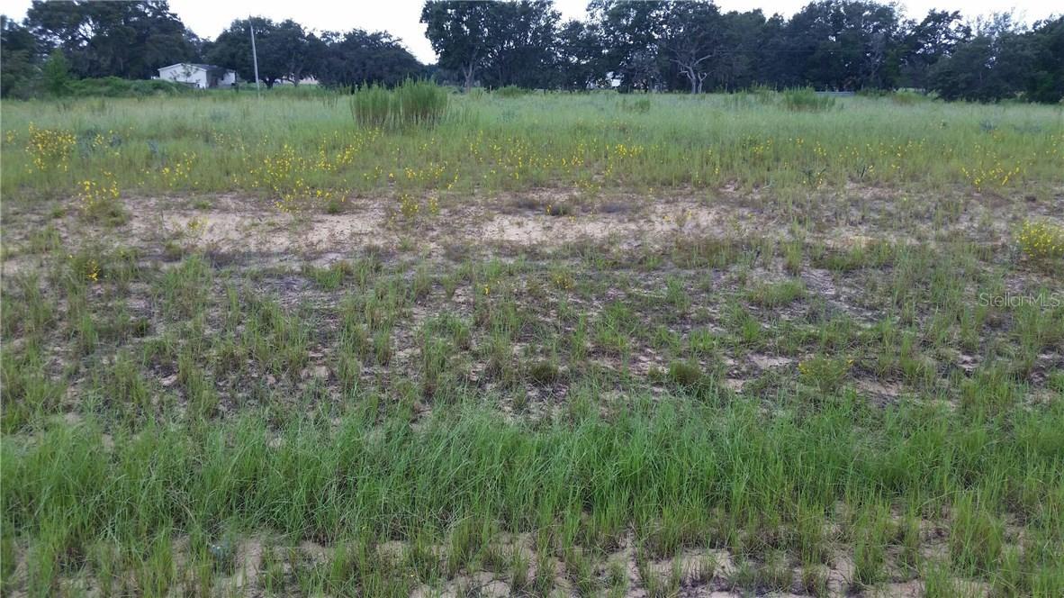 13636 Citrus Farms Dr, Astatula, FL 34705