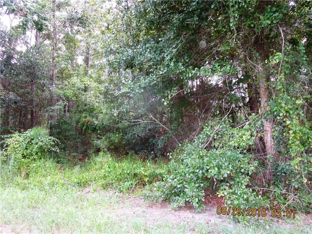 14116 Carter Island Rd., Groveland, FL 34736