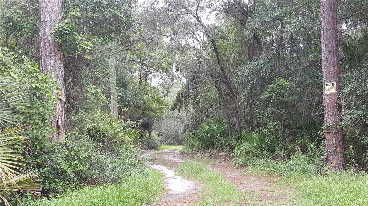 17307 Holly Ct., Umatilla, FL 32784