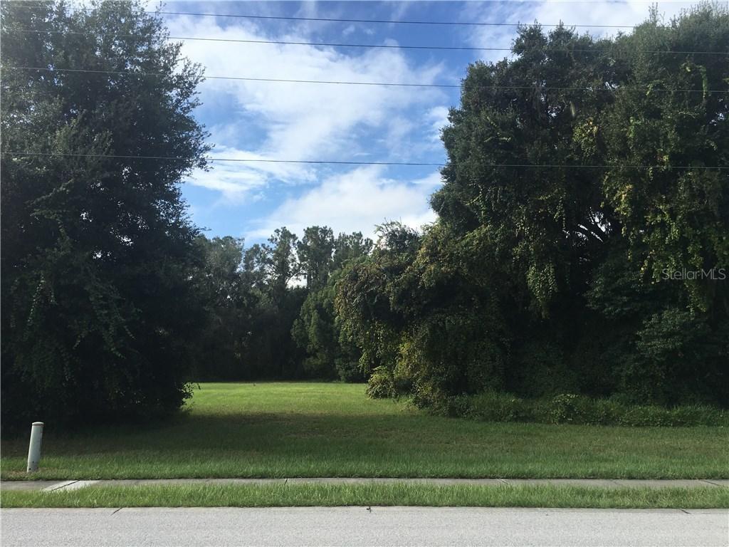 LOT 8 E Shirley Shores Rd., Tavares, FL 32778