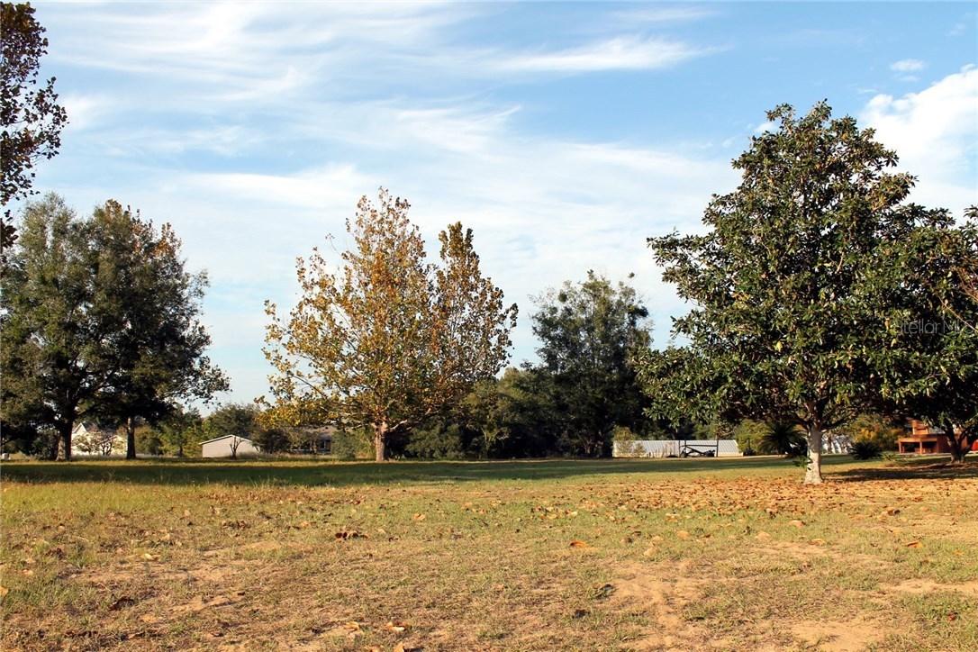 Debbie Ln., Clermont, FL 34715