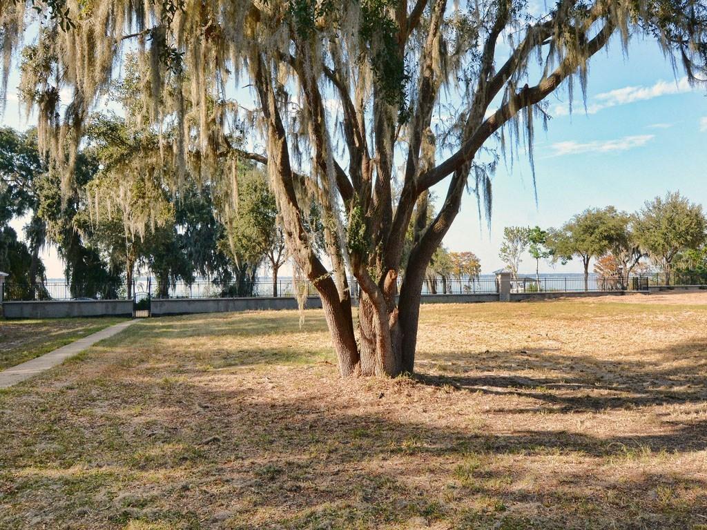 3201 Landing View, Tavares, FL 32778