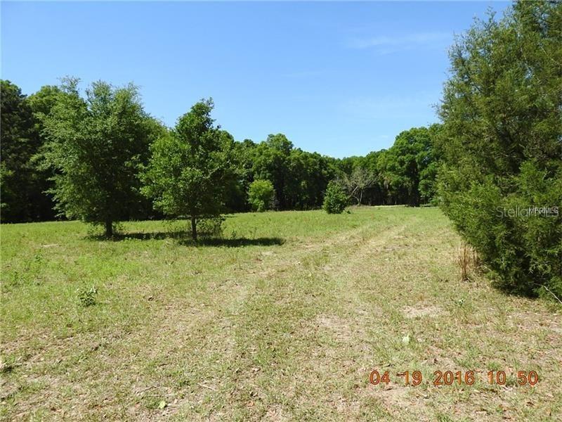 138th Place, Summerfield, FL 34491