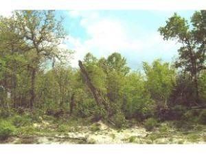 SW 116 Street Rd., Ocala, FL 34476