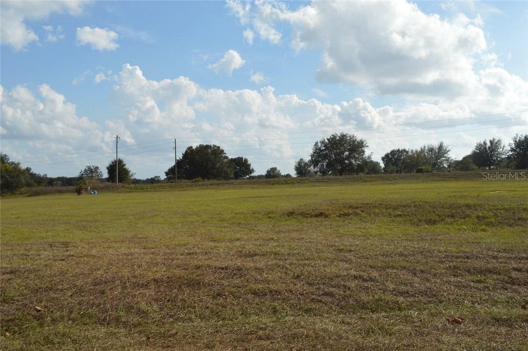 18221 Great Blue Heron Dr., Groveland, FL 34736