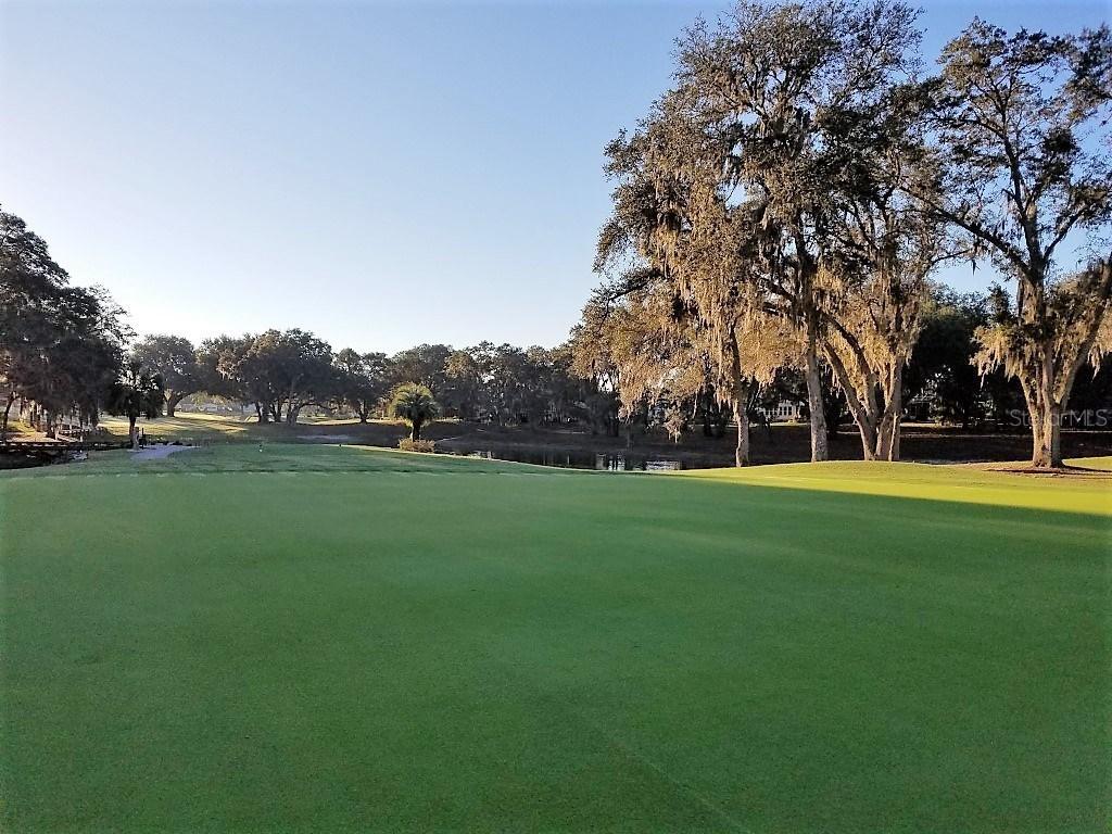 724 Orchid St., The Villages, FL 32159