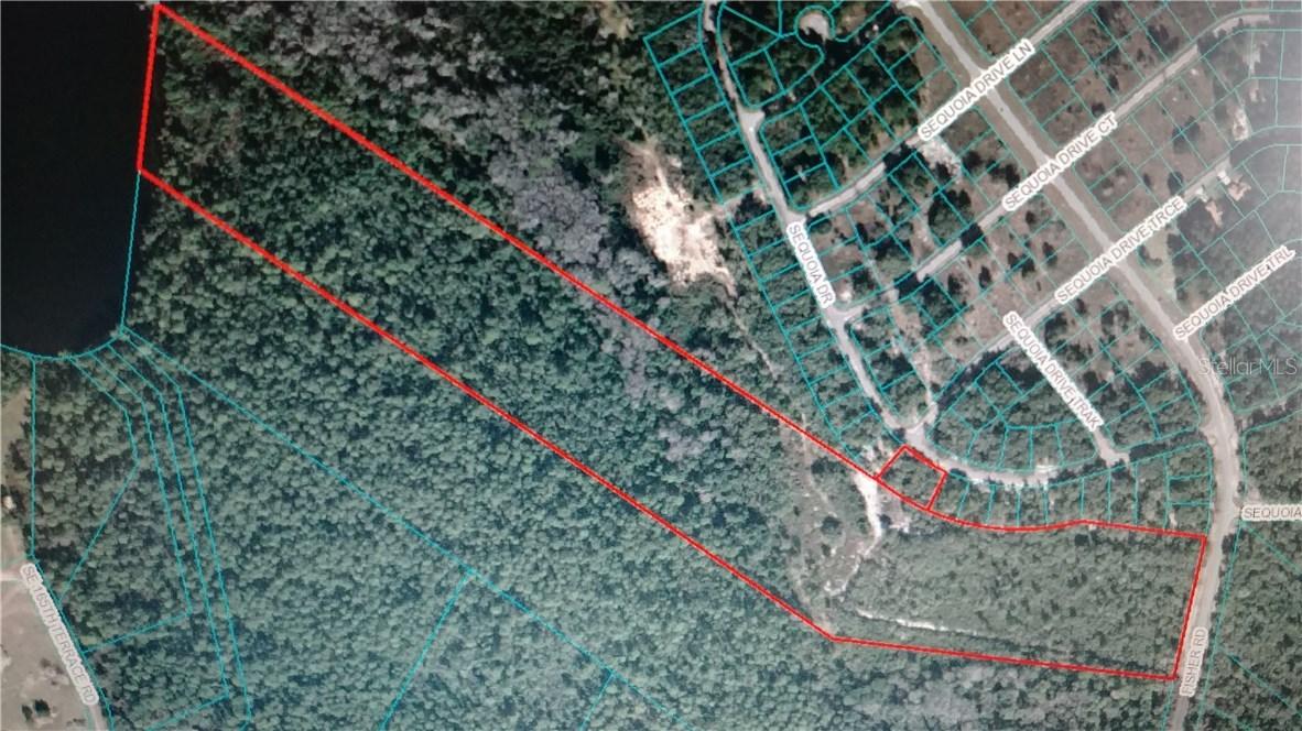 274 Fisher Rd., Ocklawaha, FL 32179