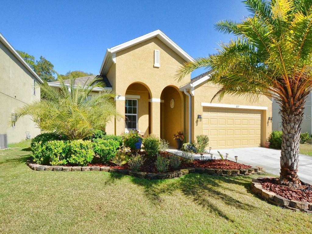 877 Haring Lane, Mount Dora, FL 32757