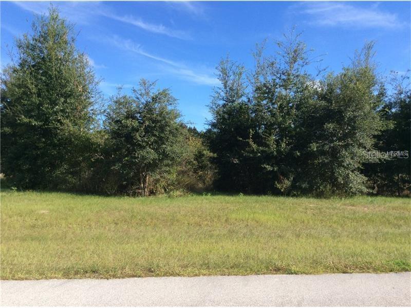 18346 Great Blue Heron Dr., Groveland, FL 34736