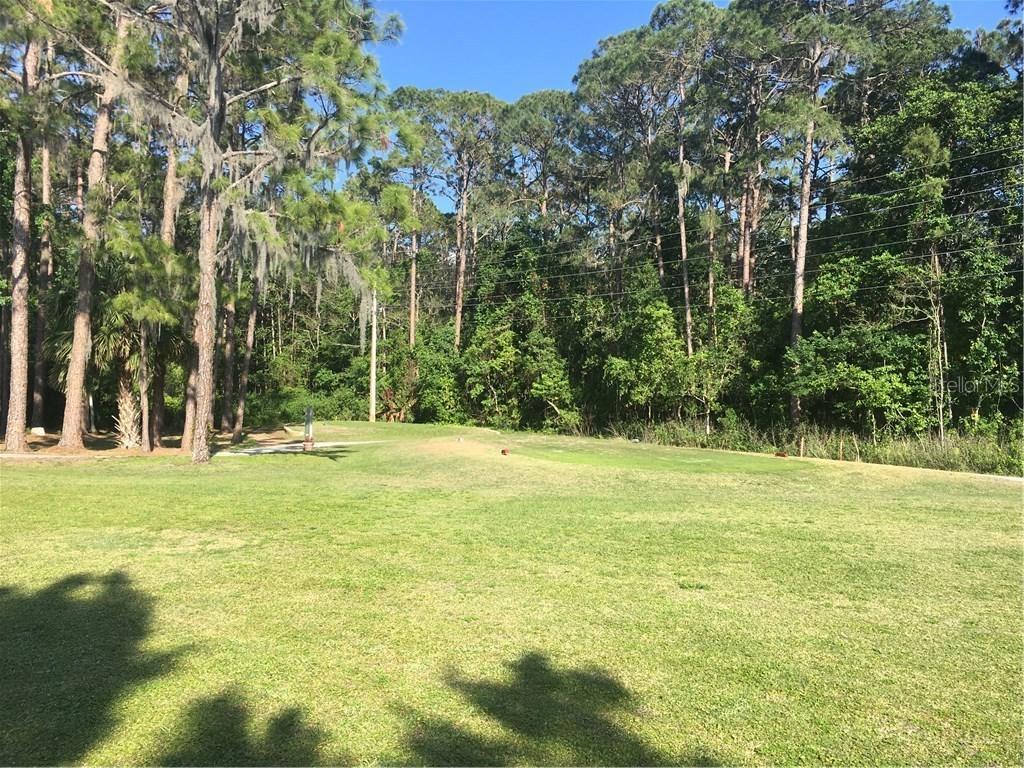 129 Juniper Way, Tavares, FL 32778
