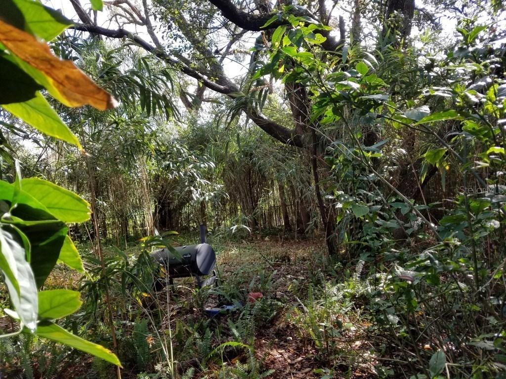 27706 Lois Dr., Tavares, FL 32778