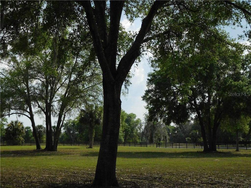 6339 Virginia Anne Lane Ln., Mount Dora, FL 32757