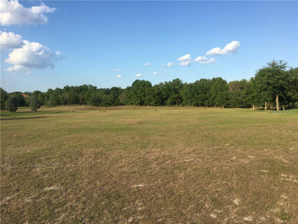 18243 Great Blue Heron Dr., Groveland, FL 34736