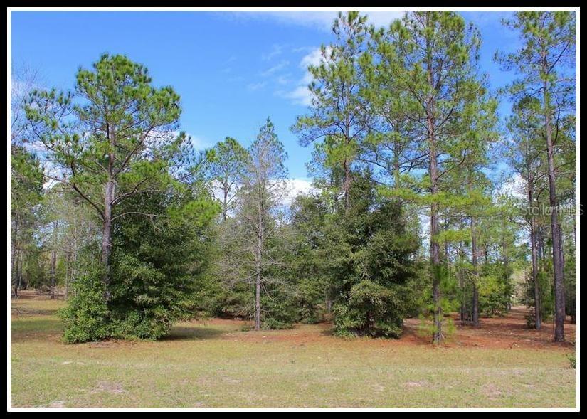 35651 High Pines Dr., Eustis, FL 32736