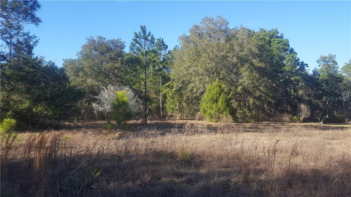 14035 NE 245th St Rd., Fort Mccoy, FL 32134