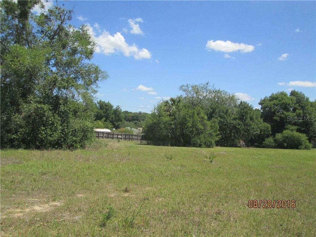 1113 S Mary St., Eustis, FL 32726