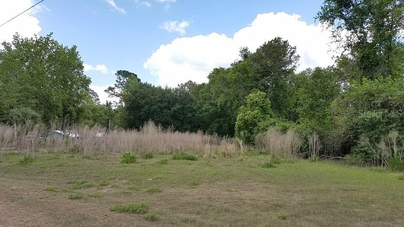 31006 Nocatee Tr., Sorrento, FL 32776