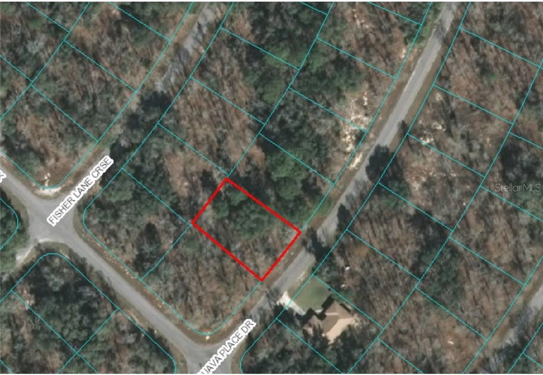 Guava Place Dr., Ocala, FL 34472