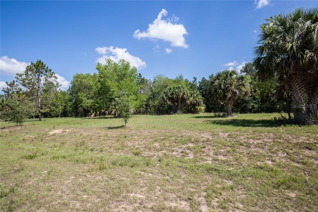 16211 Eagle Watch Dr., Tavares, FL 32778