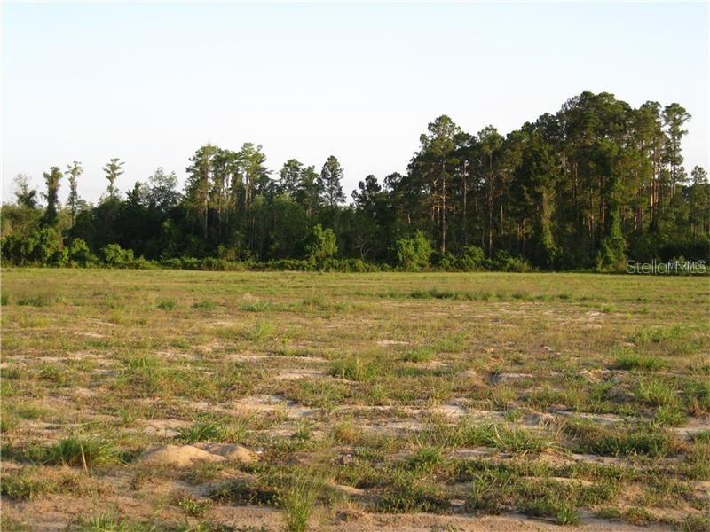 Lake Nellie Rd., Clermont, FL 34711