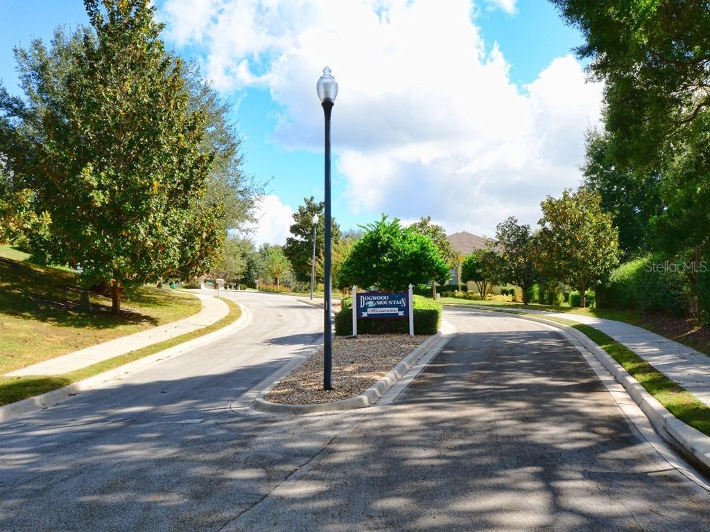 409 Magnolia Ending, Mount Dora, FL 32757