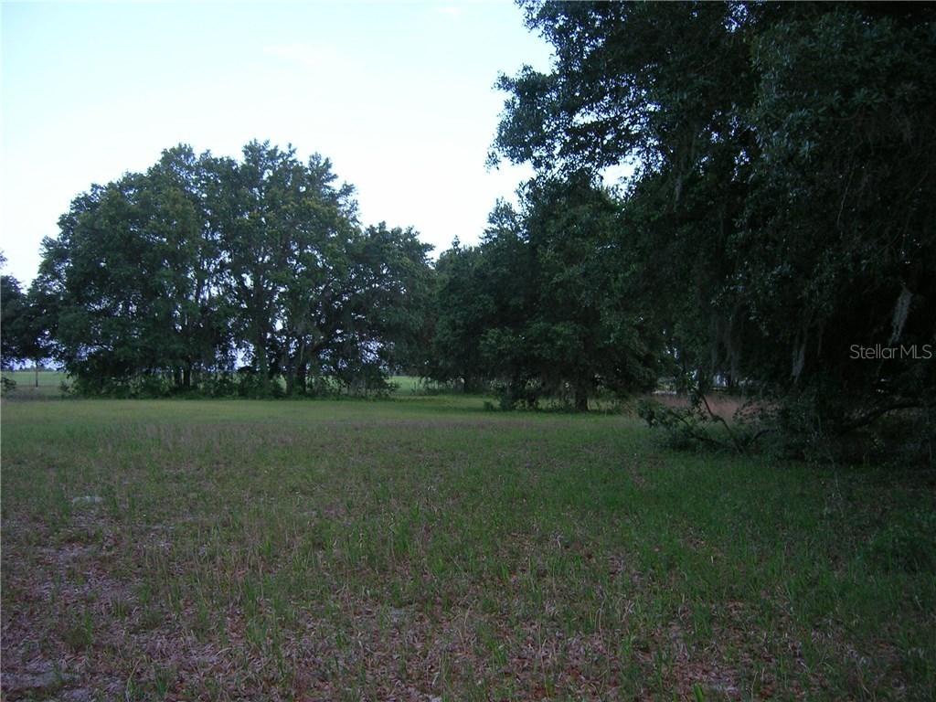 Dusty Ln., Groveland, FL 34736