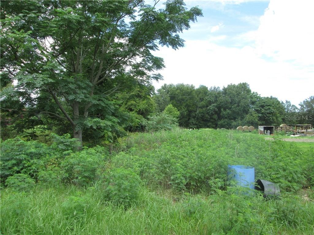 Lee Rd., Groveland, FL 34736