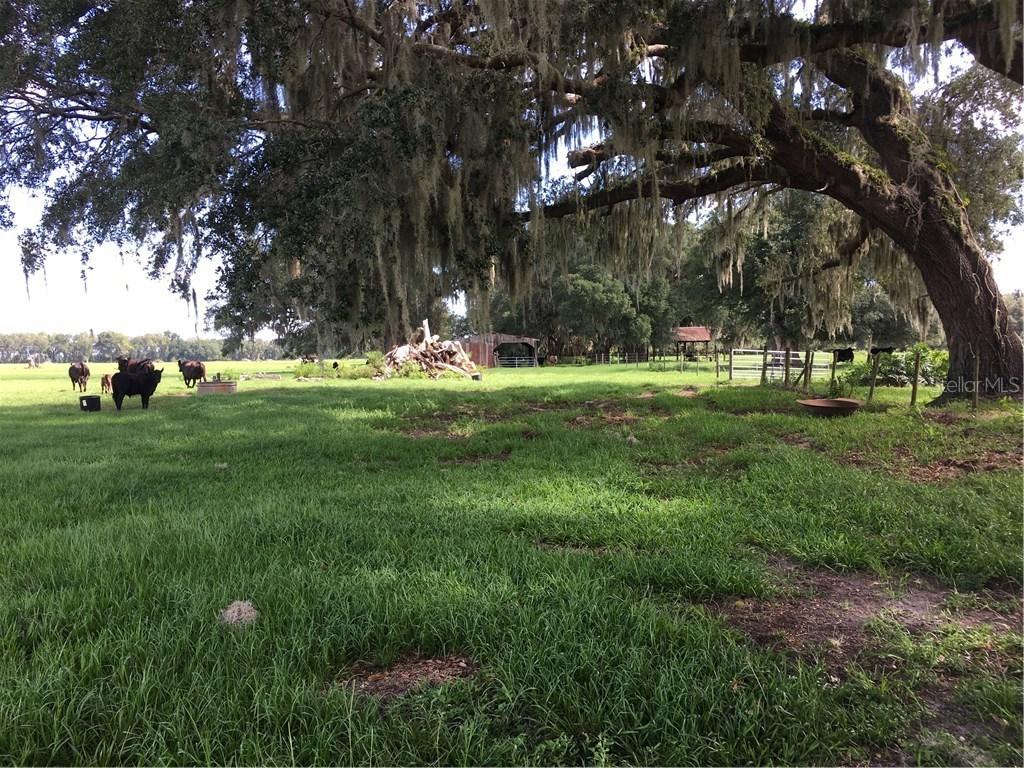 E Cr 478, Webster, FL 33597