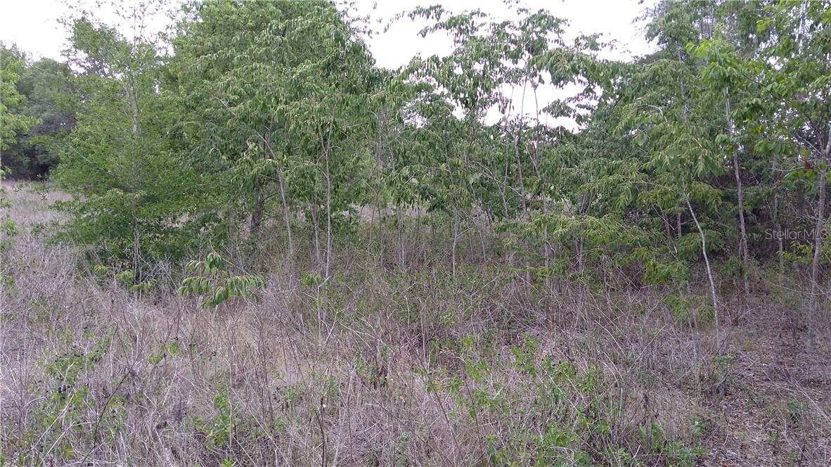E Broad St., Groveland, FL 34736
