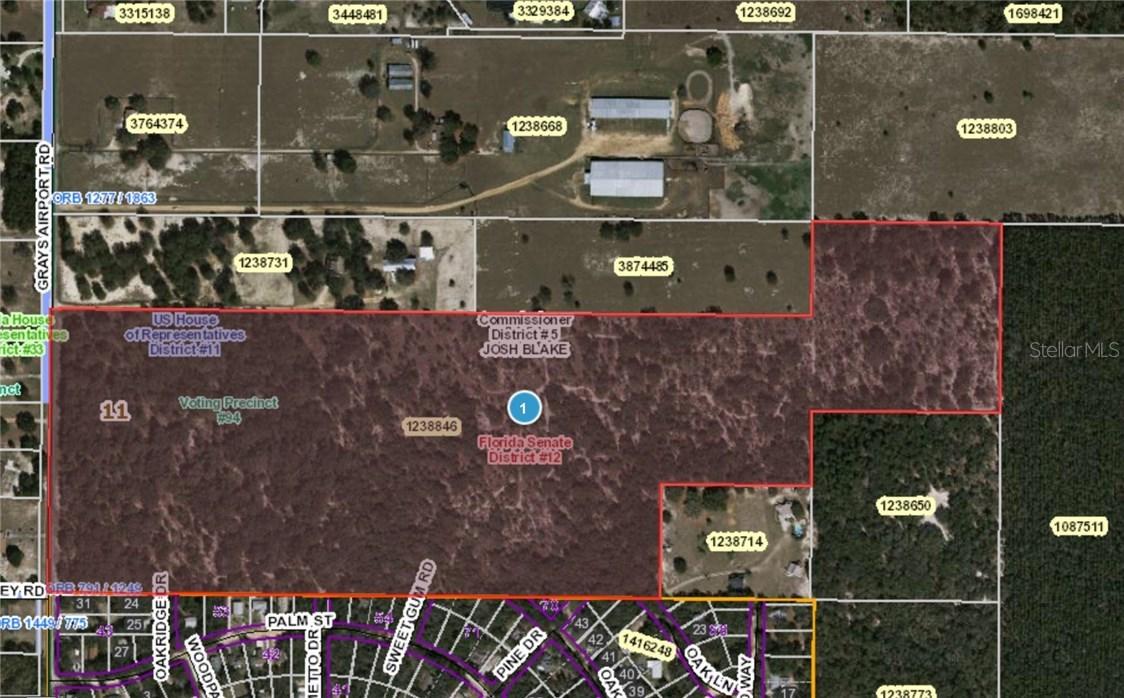 Grays Airport Rd., Lady Lake, FL 32159