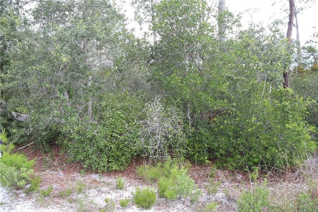 Fishermans Rd., Paisley, FL 32767