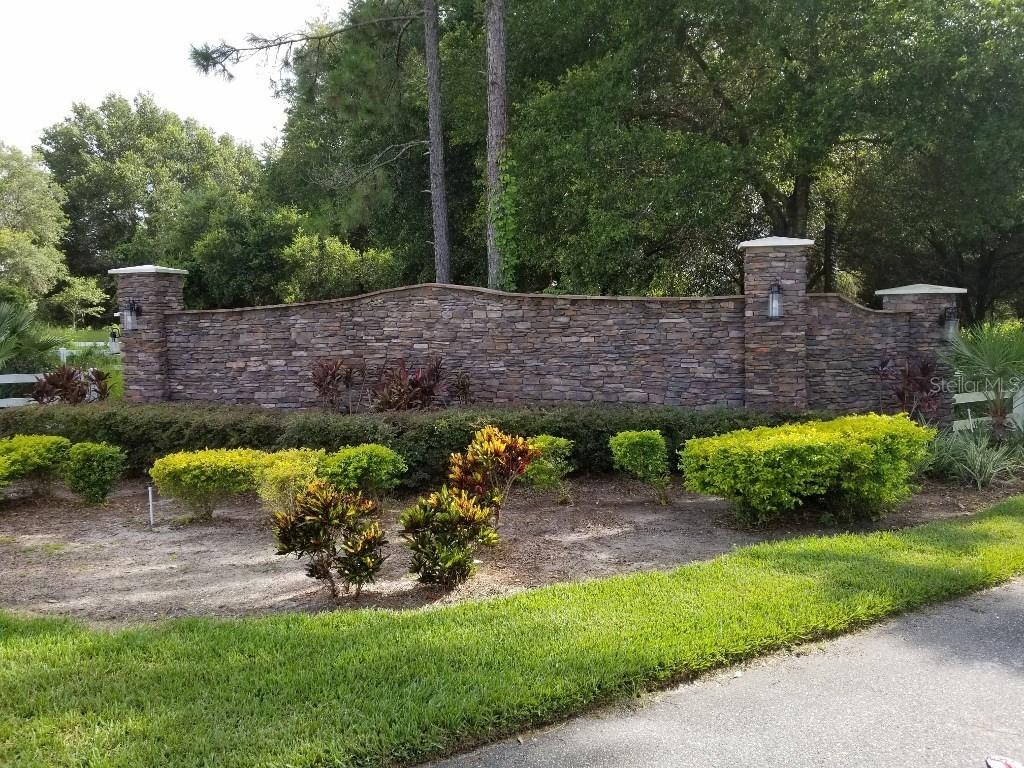 Bonsmara Dr., Groveland, FL 34736