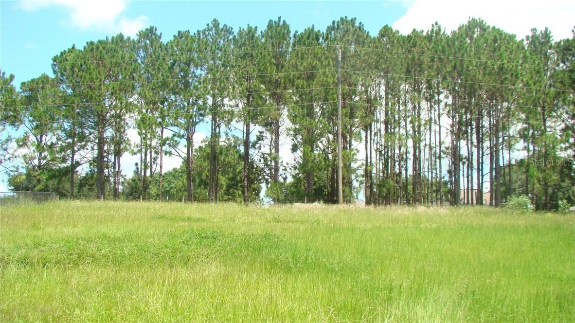 Lago Louisa Ct., Clermont, FL 34711