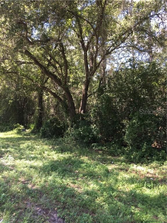 Treiman Blvd., Webster, FL 33597